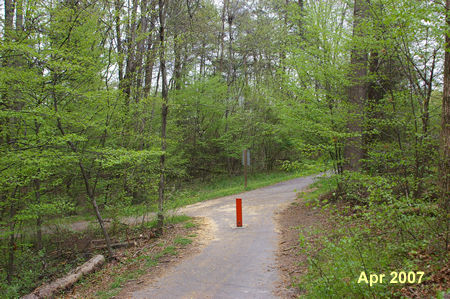 At the next asphalt trail intersection turn left.