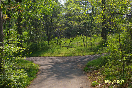 An asphalt trail intersects from the right. Keep on the trail to the left.