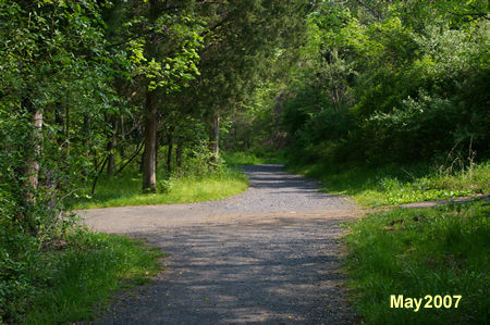 The trail passes an asphalt trail on the left and a dirt trail on the right. Continue straight on the present trail.