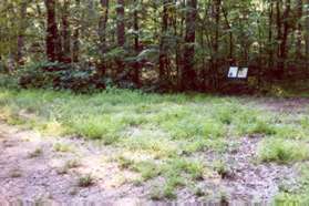 At the clearing the trail intersects with 'SYCAMORE TRAIL'  Turn left and follow that trail.