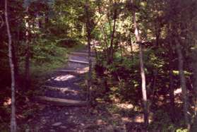 Wooden pieces mark the correct trail.