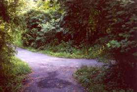 Take a sharp right onto the next paved trail. You have now left Runnymede Park.