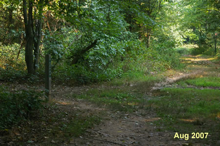 Turn left at the first intersecting trail on the left.