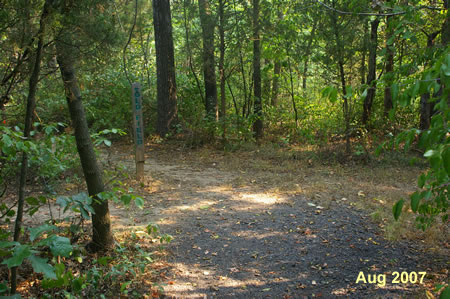 Continue straight across the next natural surface trail intersection.