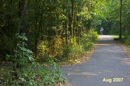 A trail intersects from the left.  Continue straight on the present trail.