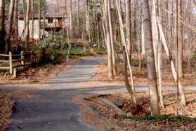 At the next path intersection turn right onto the path that crosses the creek.