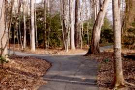 A wide trail intersects to the right and goes between buildings.  Continue on the trail to the left.