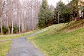 In this clearing take the wide trail to the left for the short loop and the narrow trail to the right for the park loop.