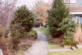 Continue straight on the sidewalk where it cuts between the houses.