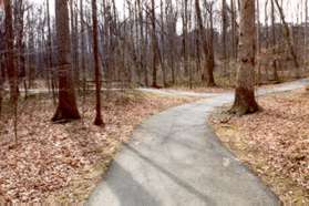 Turn left at the next path to recross the same creek.