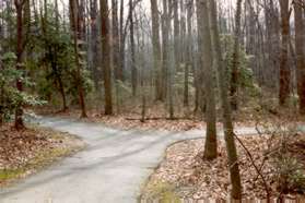 At the next asphalt trail intersection a trail branches to the right.  Stay on the branch to the left.