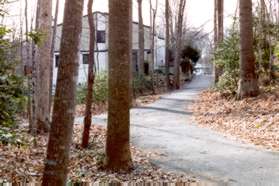 Turn left at the next trail intersection to go behind the houses shown.