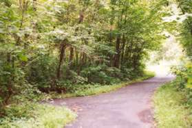 An asphalt trail intersects from the left.  Continue straight on the present trail.