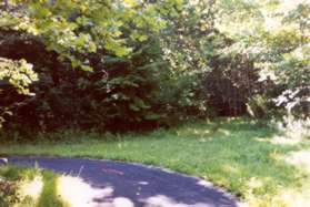 There used to be a natural surface trail at this turn but it is now overgrown.