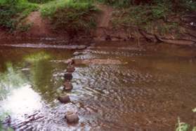 At the stream in back of the basketball court there is this homemade stream crossing.  Any takers?