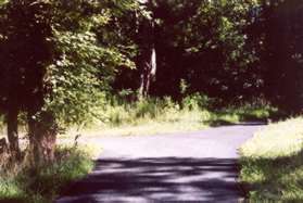 The trail passes the remains of the abandoned portion of Sugarland Rd,  At the next asphalt trail intersection turn left.