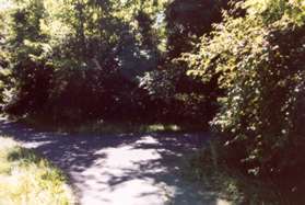 At the trail intersection on the other side of the stream turn right and go up the hill between the homes.