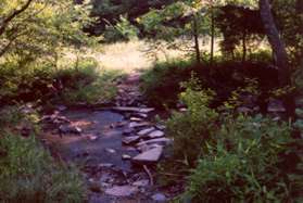 This is a rock crossing in Runnymede Park.