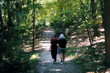 Mountain laurel can be found along the trail.