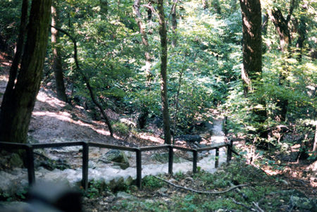 The green trail descends the mountain on this long series of steps.