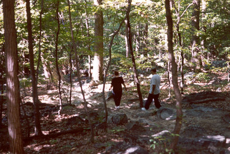 The steps gradually turn into a stone walkway.