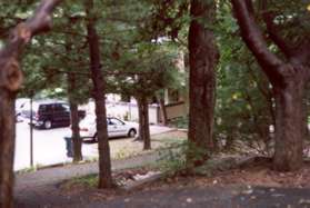 At the end of the street take the asphalt path on the right down the hill.