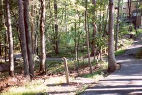 Keep to the left as the path goes down the hill.