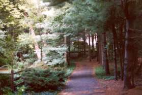 After the road curves to the right take the first wide asphalt path to the left away from the road.