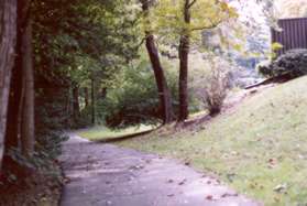 Turn left along the asphalt path just past the bridge.