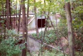 The trail will turn right and enter a tunnel under North Shore Drive.