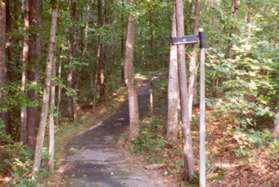 The sidewalk connects to an asphalt trail that enters the woods.