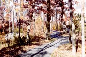 Keep to the right at the intersection with the narrow asphalt path.