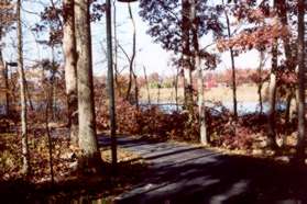 At the next wide trail intersection keep to the left so that the pond is on your right.