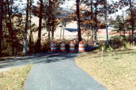 Turn sharply left at the intersecting trail by the trees.