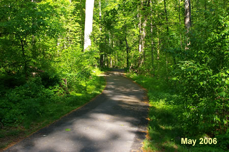 Just after the bridge take the asphalt trail to the right.