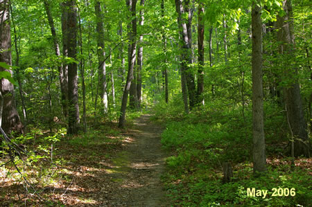 The dirt trail goes up a slight hill through a wooded area with a  house on the left.