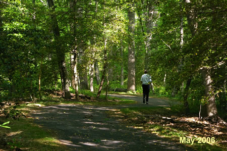 The trail curves through the woods following the Snakeden Stream on the right.