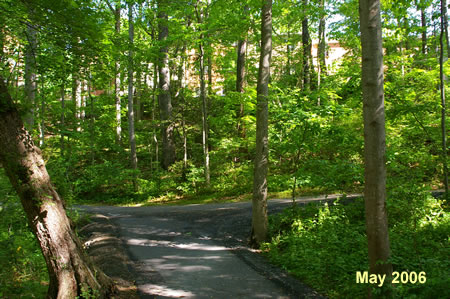 Turn right onto the next intersecting asphalt trail.