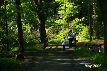 The trail crosses Snakeden Stream.