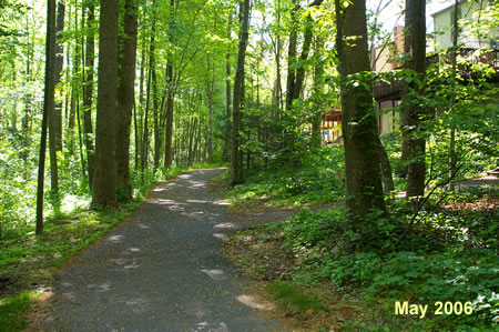 An asphalt trail intersects from the right. Continue straight on the present trail.