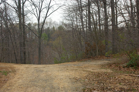 Follow the  road straight down the steep hill.  Do not take the path to the right.