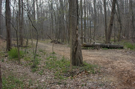 Turn left at the bottom of the hill to rejoin the Cross County Trail.