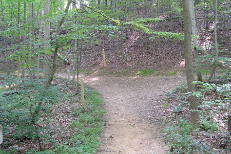 After crossing the bridge turn left onto the intersecting trail.