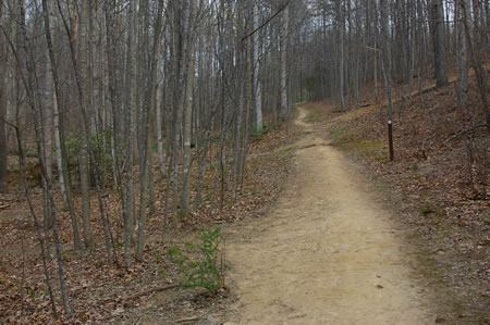 At the next intersecting trail on the left turn left to follow the short loop or go straight to follow the long loop and the Cross County Trail.