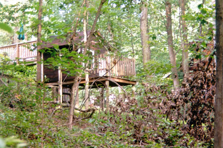 Notice the tree house on the left as you pass by the homes on the left.