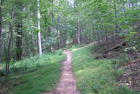 Stay straight on the trail as it passes trails to the left and right.