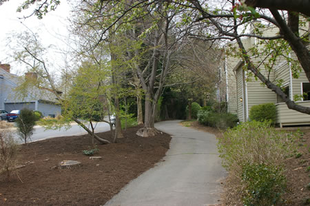 The trail follows Solaridge Dr.