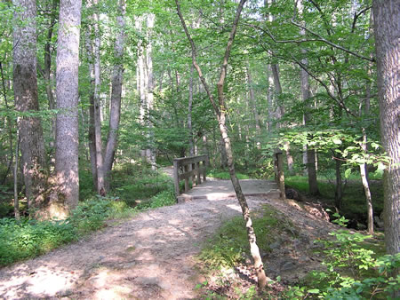 The trail crosses the bridge and turns right.