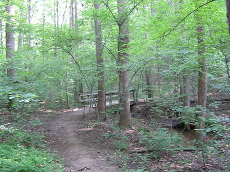 The trail turns to the right to cross a bridge.