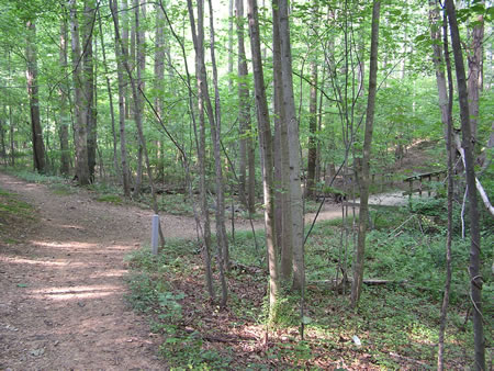 At the trail juction turn right to cross the bridge.